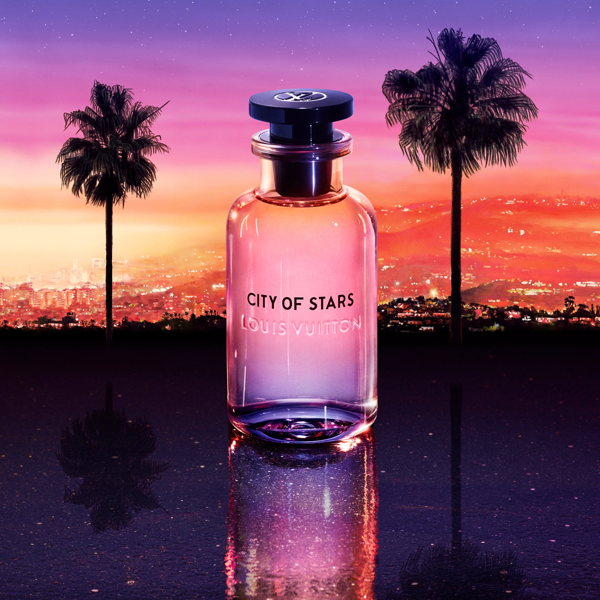 Louis Vuitton City of Stars (Sample)